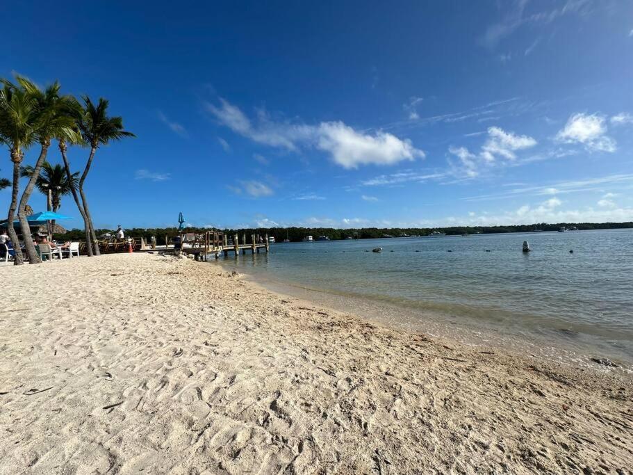 Vacay Spot Experience Luna Sky! 65" Tv Bar, Bbq, Shower Massage Jets, Music, Go To Fl Keys Homestead Exterior photo